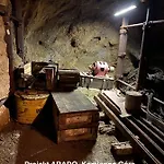 Havirska Zacler, Krkonose דירה Žacléř
