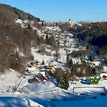 Havirska Zacler, Krkonose דירה