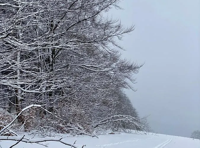Διαμέρισμα Havirska Zacler, Krkonose